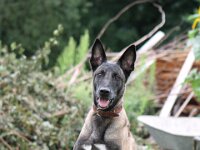 Cora du Mont St. Aubert  Bes.: Tajana Müller
