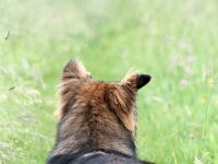 Ginuk vom Grossen Ex  Bes.: Dirk Schulze