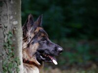 Laska  Bes.: Bettina Göldi