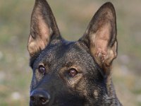 Cira  Bes.: Brigitta Merz