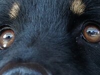 Ouray  Bes.: Brigitte Knubel und Christian Tschirky