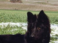 Arrigo  Arrigo 7 Monate