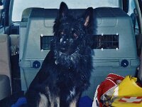 010 ich habe alles gegeben