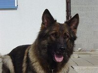 Fly und Chinook 040