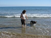 Chinook IMG 4106 (3)