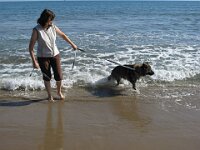 Chinook IMG 4106 (4)