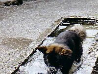 023 auch im Suesswasser