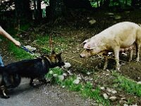 die Begegnung der etwas anderen Art