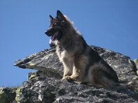 Bergtour 14.7.2009, mit Pageera Gamskarlspitz, Plattenkar, Hundskogel (26)
