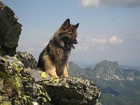 Bergtour 14 7 2009 mit Pageera Gamskarlspitz Plattenkar Hundskogel 22