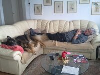 Siesta 003 : Siesta