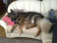 Siesta 004 : Siesta
