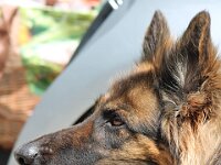 Squaw 28 7 2014 009 (5) : 28_7_2014