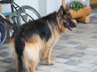 Squaw 28 7 2014 009 (6)  12 Jahre alt : 28_7_2014