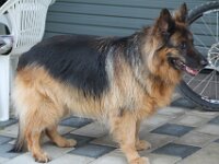 Squaw 28 7 2014 009 (8) : 28_7_2014