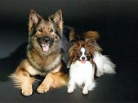 Valeska und Fay