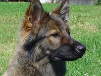 Valeska