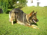 Valeska