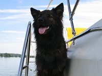 Yanka 57 Mir gefÃ¤llts