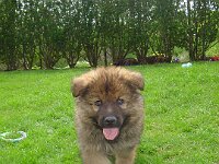 Anouk