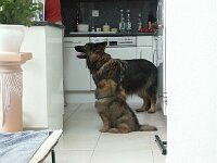 Anouk  Bes.: Renata und Ady Kraus
