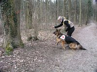Cymba  BH3, FH15 Kl.3, SKG SCS Therapiehund