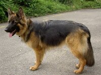 Cymba