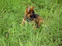 Cymba