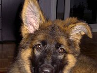 Cymba