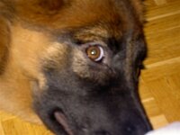 Cymba
