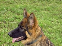 Cymba