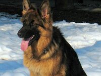 Cymba