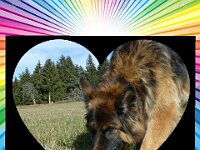 Cymba Abschied