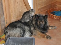 Dayna, 26.9.2006 - 11.8.2020