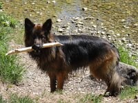 Eika, 5.5.2007 - 20.12.2019
