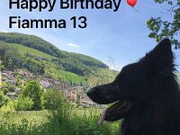 Fiamma's 13. Geburtstag