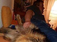 Anuk  Dani muss Sofa teilen