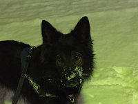 im Nachtdienst
