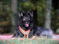 Shani  14 Jahre alt