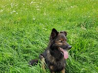 Kyro