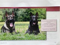 Majesty und Macha im SC-Heft