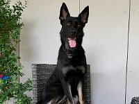 Macha's 1. Geburtstag