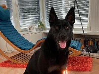 zweiter Geburtstag