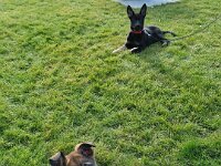 Majesty und Macha