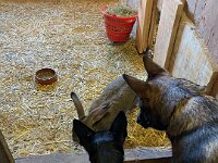 Macha und Yasso mit Hase Sam