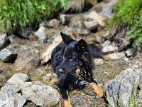Okami  Bes.: Sändy Rechsteiner
