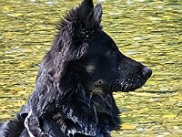 Okami  Bes.: Sändy Rechsteiner