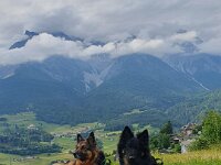 Kiwi ud Okami  Bes.: Sändy Rechsteiner