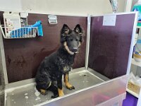 Okami  Baden muss manchmal sein
