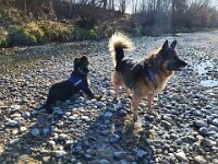 Okami und Kiwi  Bes.: Sändy Rechsteiner
